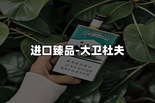 进口臻品
